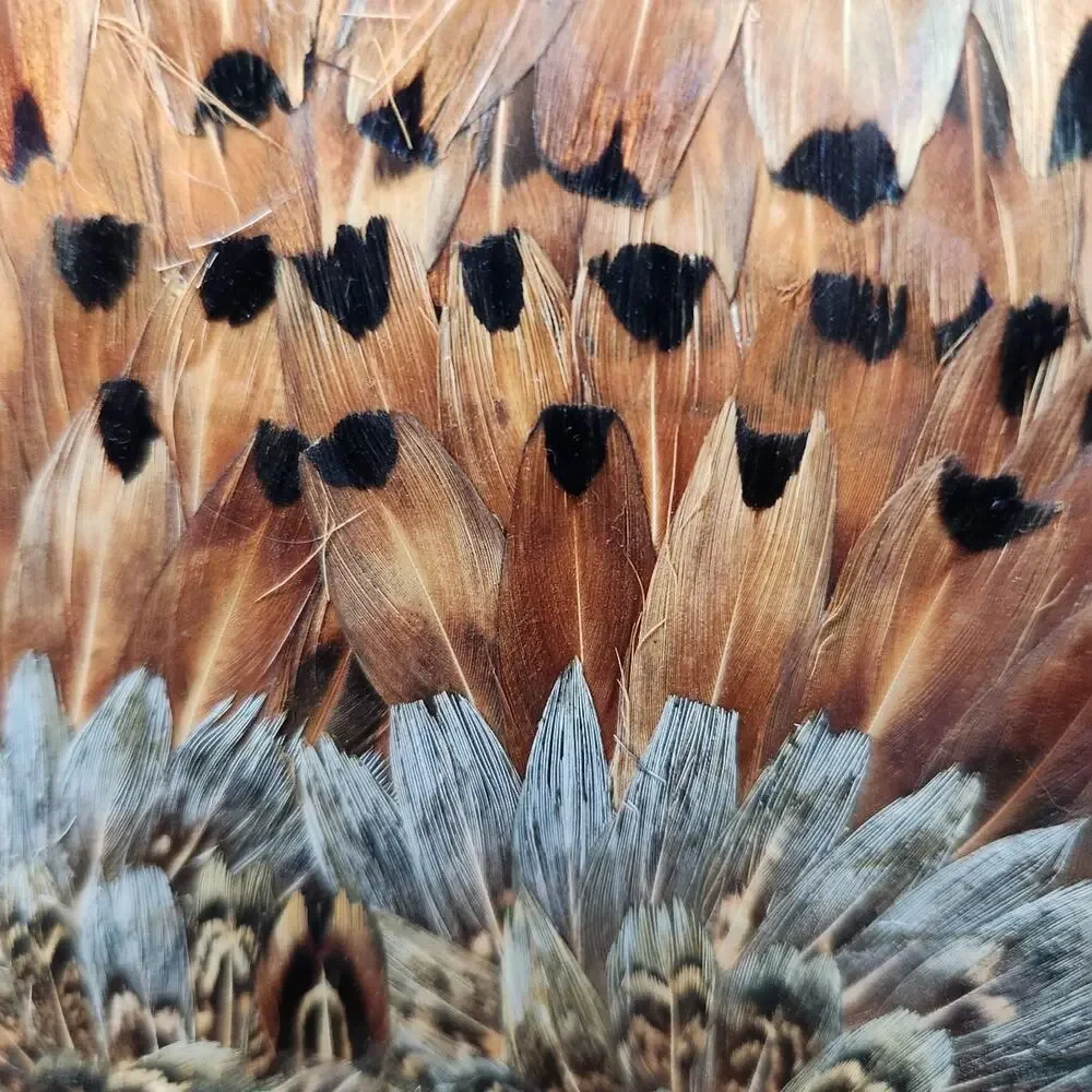 Vintage Peacock Feather Handbag 1950s 60s Real Feather Purse Gold Clasp